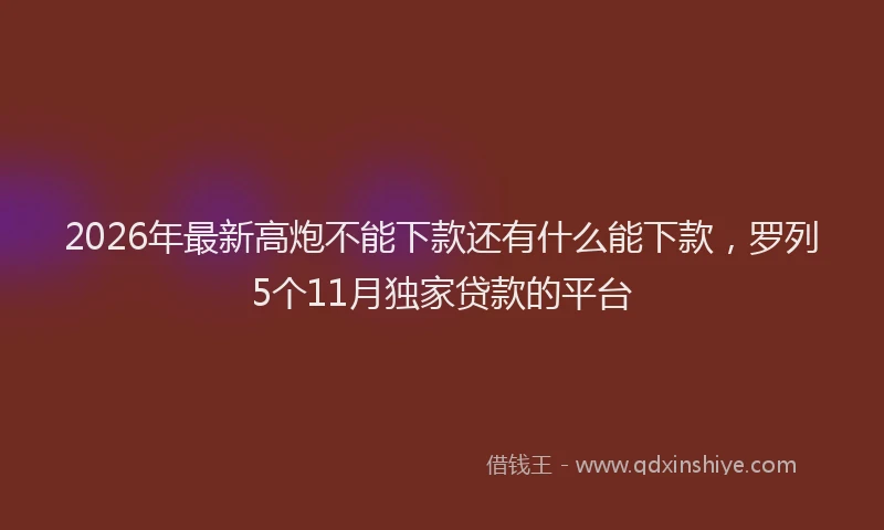 2026年最新高炮不能下款还有什么能下款，罗列5个11月独家贷款的平台