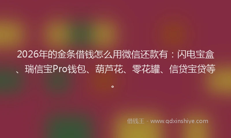 2026年的金条借钱怎么用微信还款有：闪电宝盒、瑞信宝Pro钱包、葫芦花、零花罐、信贷宝贷等。
