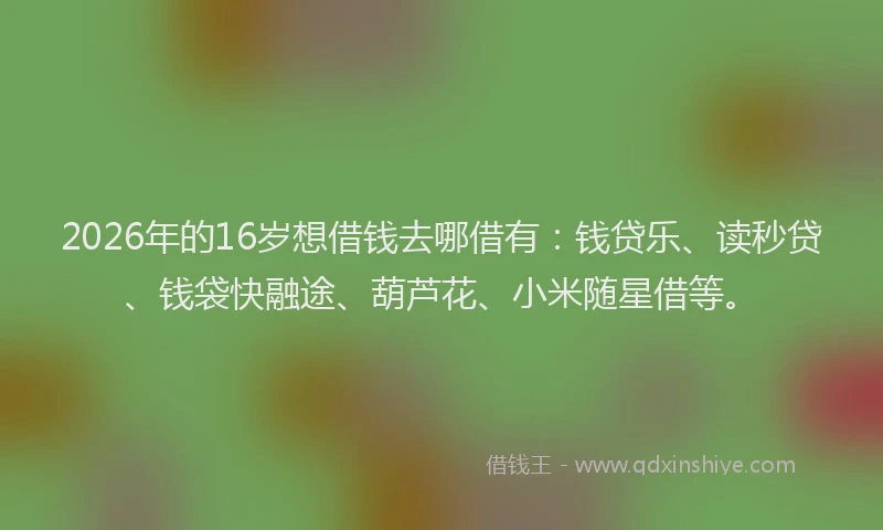 2026年的16岁想借钱去哪借有：钱贷乐、读秒贷、钱袋快融途、葫芦花、小米随星借等。