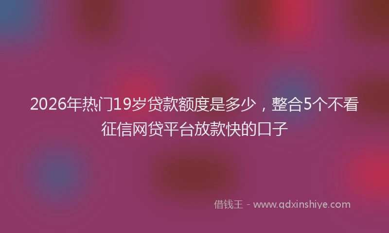 2026年热门19岁贷款额度是多少，整合5个不看征信网贷平台放款快的口子