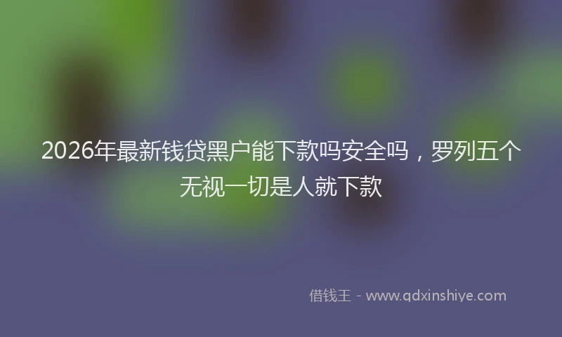 2026年最新钱贷黑户能下款吗安全吗，罗列五个无视一切是人就下款