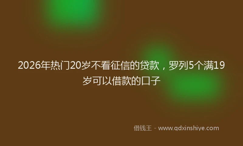 2026年热门20岁不看征信的贷款，罗列5个满19岁可以借款的口子