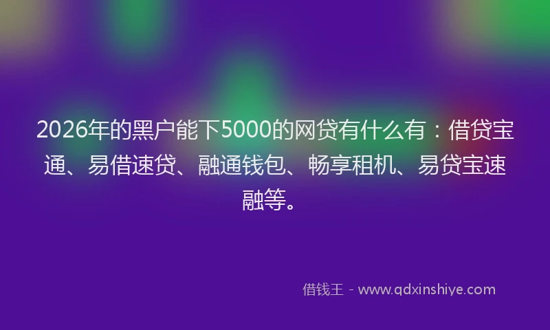 2026年的黑户能下5000的网贷有什么有：借贷宝通、易借速贷、融通钱包、畅享租机、易贷宝速融等。