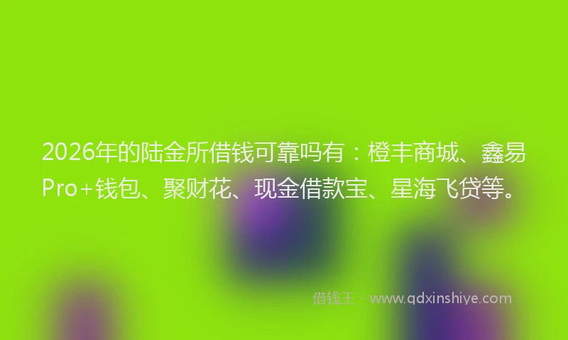 2026年的陆金所借钱可靠吗有：橙丰商城、鑫易Pro+钱包、聚财花、现金借款宝、星海飞贷等。