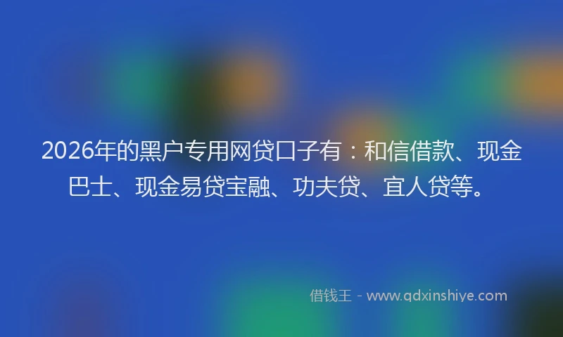 2026年的黑户专用网贷口子有：和信借款、现金巴士、现金易贷宝融、功夫贷、宜人贷等。
