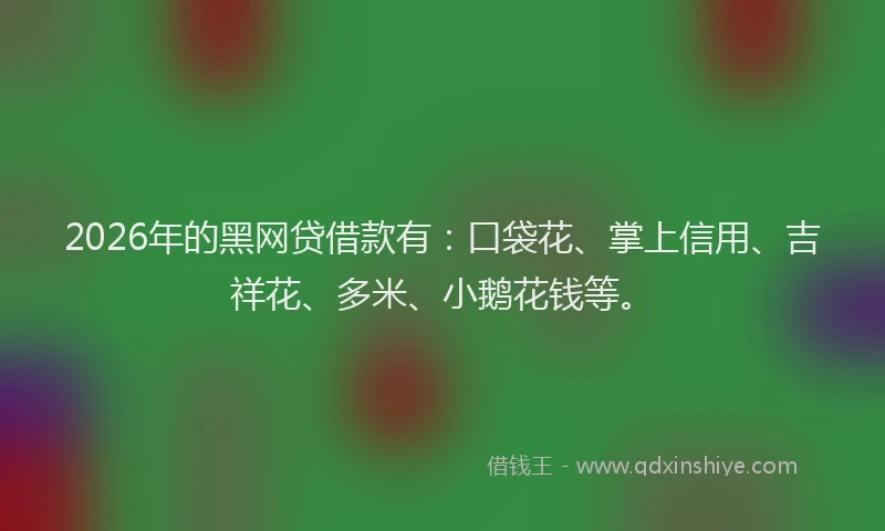 2026年的黑网贷借款有：口袋花、掌上信用、吉祥花、多米、小鹅花钱等。
