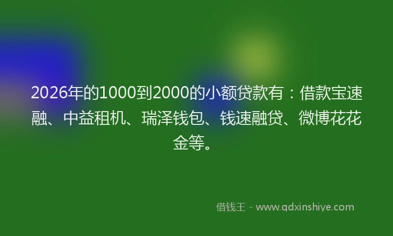 2026年的1000到2000的小额贷款有：借款宝速融、中益租机、瑞泽钱包、钱速融贷、微博花花金等。