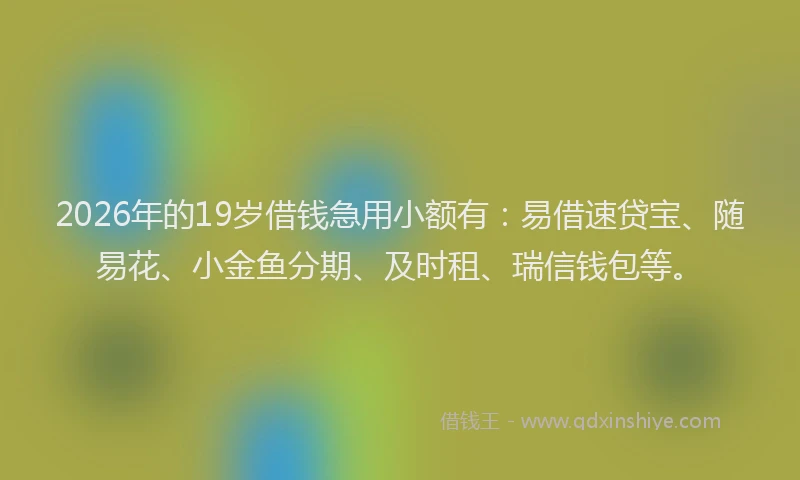 2026年的19岁借钱急用小额有：易借速贷宝、随易花、小金鱼分期、及时租、瑞信钱包等。