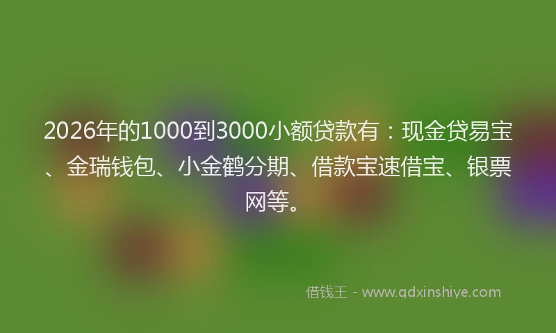 2026年的1000到3000小额贷款有：现金贷易宝、金瑞钱包、小金鹤分期、借款宝速借宝、银票网等。