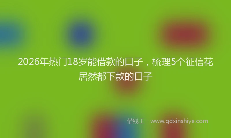 2026年热门18岁能借款的口子，梳理5个征信花居然都下款的口子