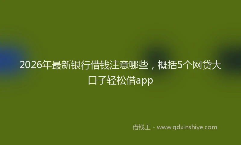 2026年最新银行借钱注意哪些，概括5个网贷大口子轻松借app