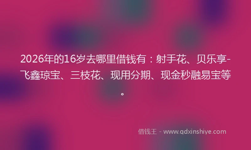 2026年的16岁去哪里借钱有：射手花、贝乐享-飞鑫琼宝、三枝花、现用分期、现金秒融易宝等。