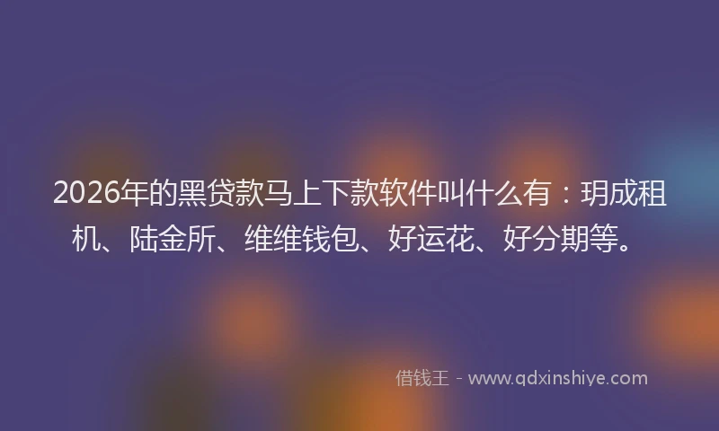 2026年的黑贷款马上下款软件叫什么有：玥成租机、陆金所、维维钱包、好运花、好分期等。