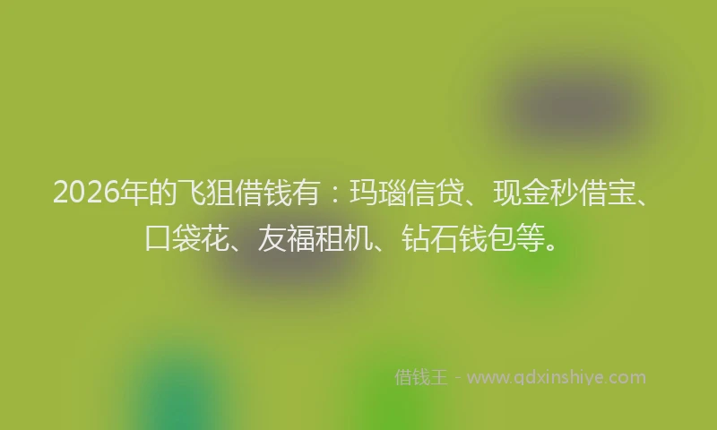 2026年的飞狙借钱有：玛瑙信贷、现金秒借宝、口袋花、友福租机、钻石钱包等。