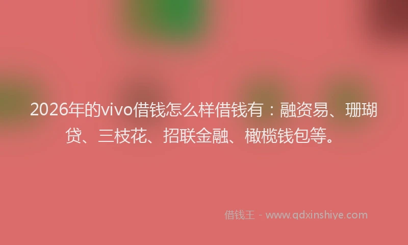 2026年的vivo借钱怎么样借钱有：融资易、珊瑚贷、三枝花、招联金融、橄榄钱包等。