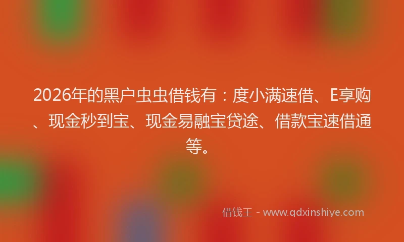 2026年的黑户虫虫借钱有：度小满速借、E享购、现金秒到宝、现金易融宝贷途、借款宝速借通等。