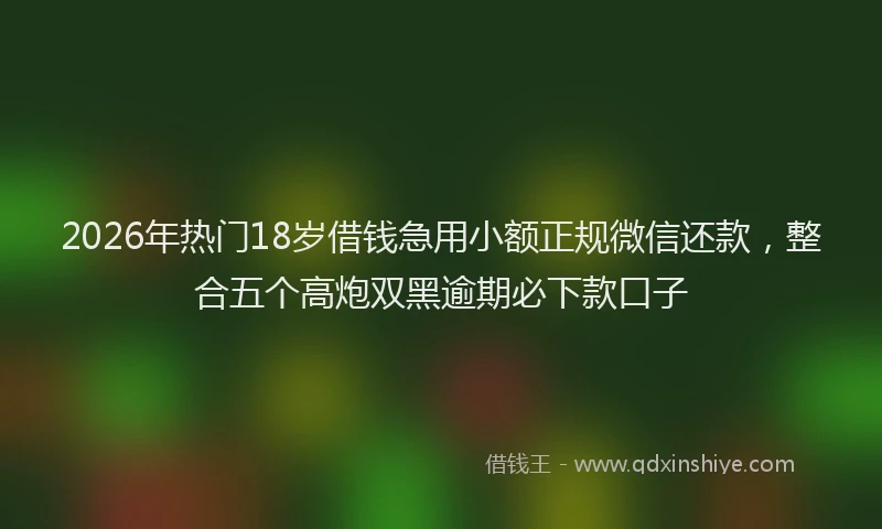 2026年热门18岁借钱急用小额正规微信还款，整合五个高炮双黑逾期必下款口子