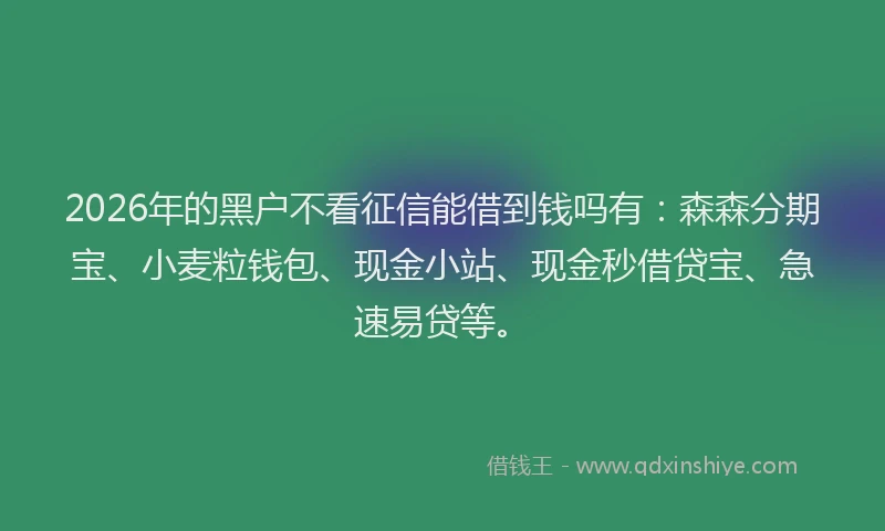 2026年的黑户不看征信能借到钱吗有：森森分期宝、小麦粒钱包、现金小站、现金秒借贷宝、急速易贷等。