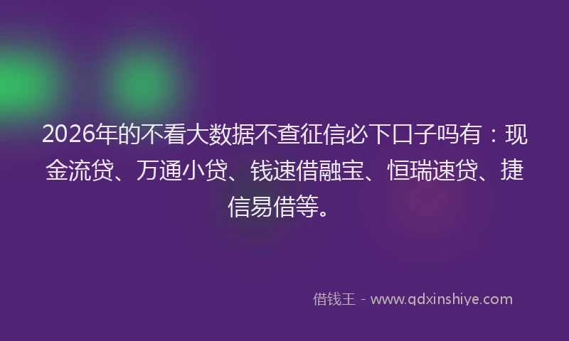 2026年的不看大数据不查征信必下口子吗有：现金流贷、万通小贷、钱速借融宝、恒瑞速贷、捷信易借等。