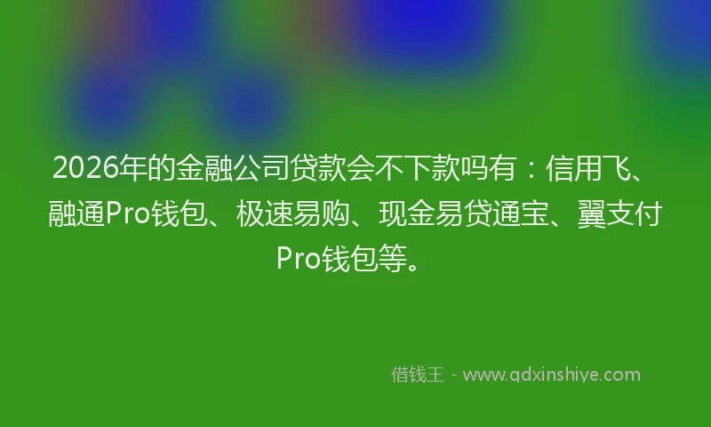 2026年的金融公司贷款会不下款吗有：信用飞、融通Pro钱包、极速易购、现金易贷通宝、翼支付Pro钱包等。