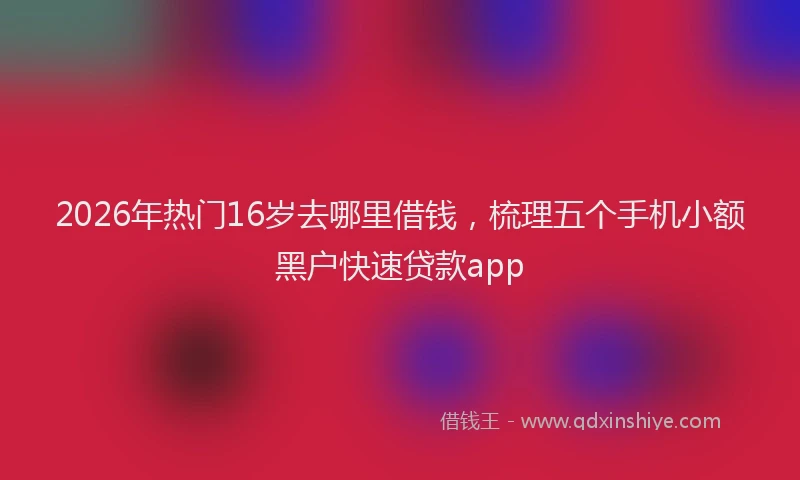 2026年热门16岁去哪里借钱，梳理五个手机小额黑户快速贷款app