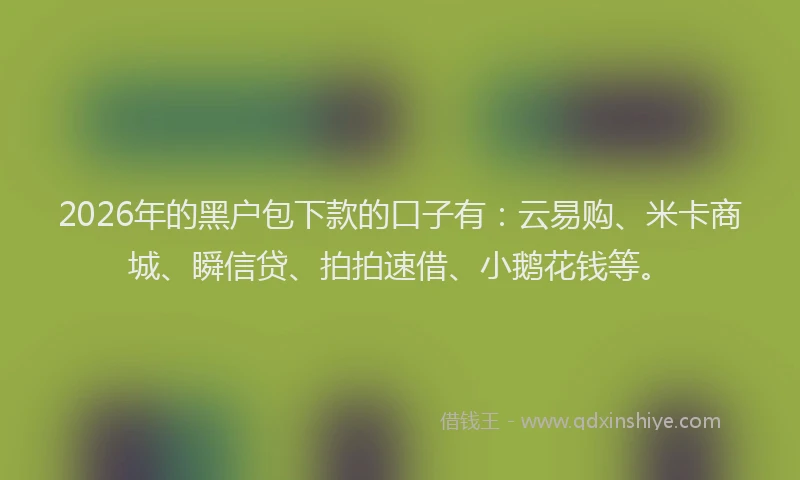 2026年的黑户包下款的口子有：云易购、米卡商城、瞬信贷、拍拍速借、小鹅花钱等。