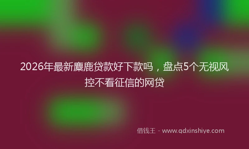 2026年最新麋鹿贷款好下款吗，盘点5个无视风控不看征信的网贷