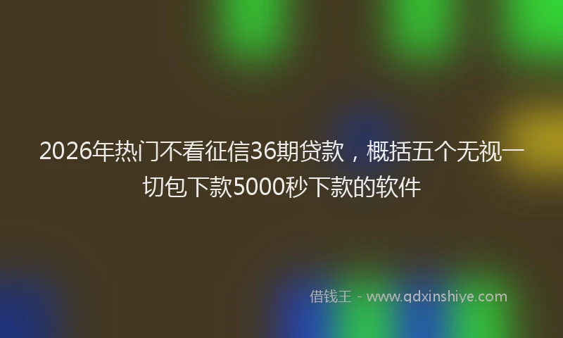 2026年热门不看征信36期贷款，概括五个无视一切包下款5000秒下款的软件