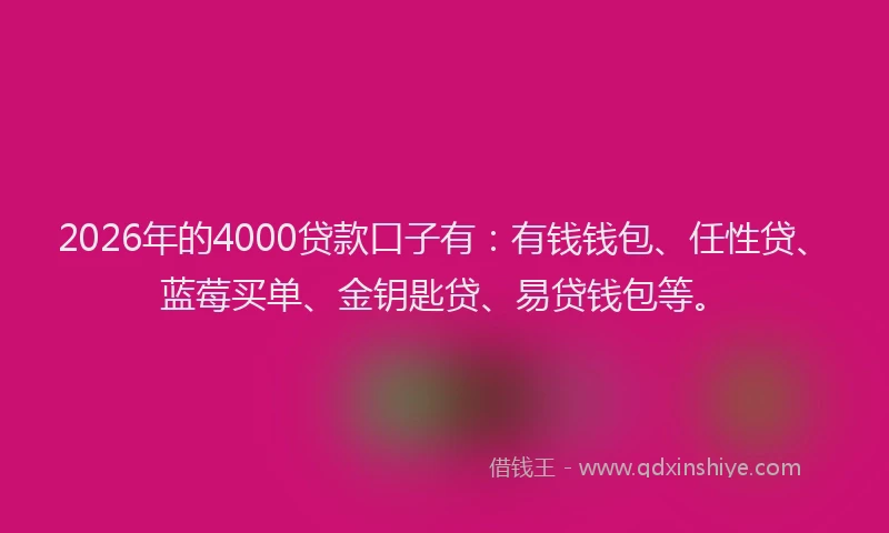 2026年的4000贷款口子有：有钱钱包、任性贷、蓝莓买单、金钥匙贷、易贷钱包等。
