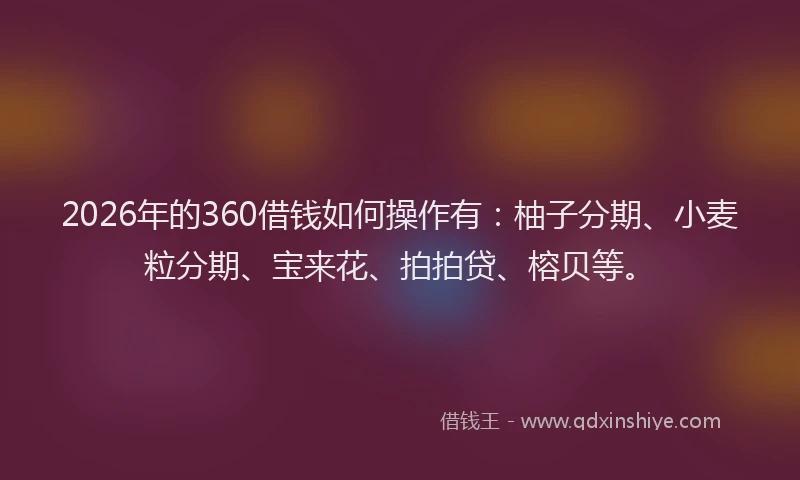 2026年的360借钱如何操作有：柚子分期、小麦粒分期、宝来花、拍拍贷、榕贝等。