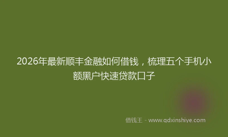2026年最新顺丰金融如何借钱，梳理五个手机小额黑户快速贷款口子