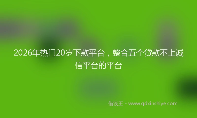 2026年热门20岁下款平台，整合五个贷款不上诚信平台的平台