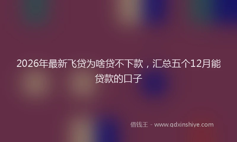 2026年最新飞贷为啥贷不下款，汇总五个12月能贷款的口子