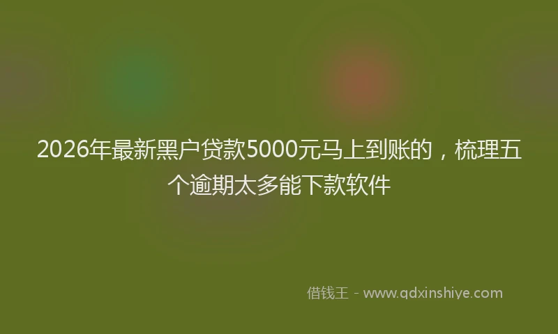 2026年最新黑户贷款5000元马上到账的，梳理五个逾期太多能下款软件