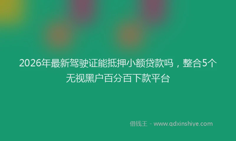 2026年最新驾驶证能抵押小额贷款吗，整合5个无视黑户百分百下款平台