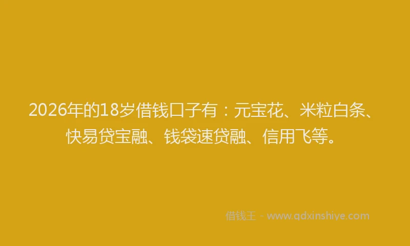 2026年的18岁借钱口子有：元宝花、米粒白条、快易贷宝融、钱袋速贷融、信用飞等。