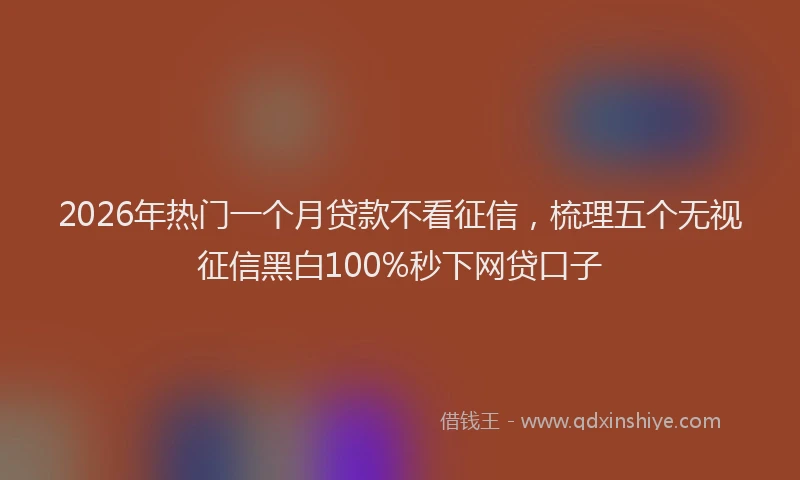 2026年热门一个月贷款不看征信，梳理五个无视征信黑白100%秒下网贷口子