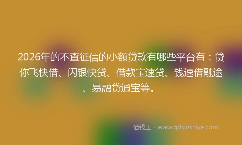 2026年的不查征信的小额贷款有哪些平台有：贷你飞快借、闪银快贷、借款宝速贷、钱速借融途、易融贷通宝等。
