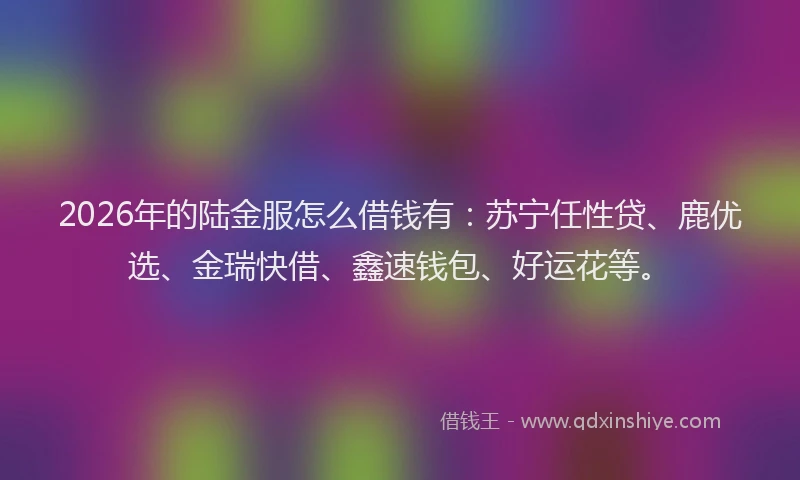 2026年的陆金服怎么借钱有：苏宁任性贷、鹿优选、金瑞快借、鑫速钱包、好运花等。