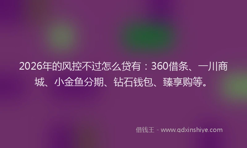 2026年的风控不过怎么贷有：360借条、一川商城、小金鱼分期、钻石钱包、臻享购等。