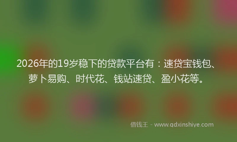 2026年的19岁稳下的贷款平台有：速贷宝钱包、萝卜易购、时代花、钱站速贷、盈小花等。