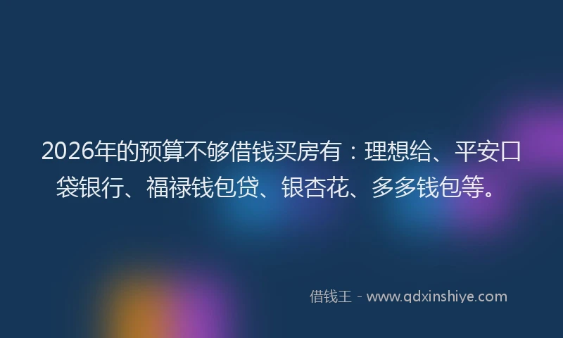 2026年的预算不够借钱买房有：理想给、平安口袋银行、福禄钱包贷、银杏花、多多钱包等。