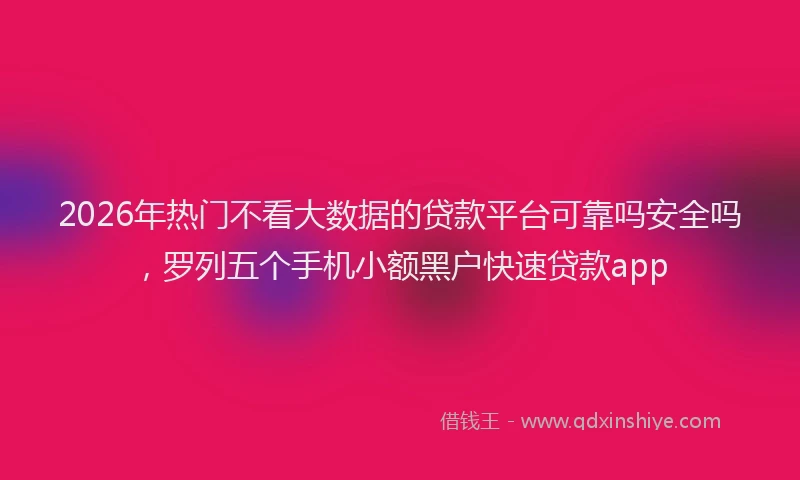 2026年热门不看大数据的贷款平台可靠吗安全吗，罗列五个手机小额黑户快速贷款app