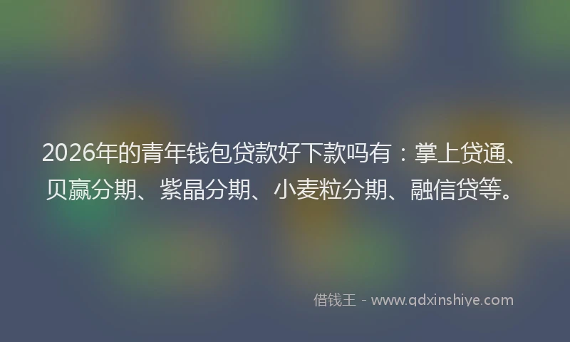 2026年的青年钱包贷款好下款吗有：掌上贷通、贝赢分期、紫晶分期、小麦粒分期、融信贷等。