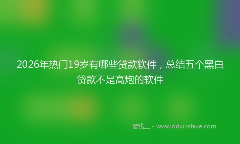 2026年热门19岁有哪些贷款软件，总结五个黑白贷款不是高炮的软件