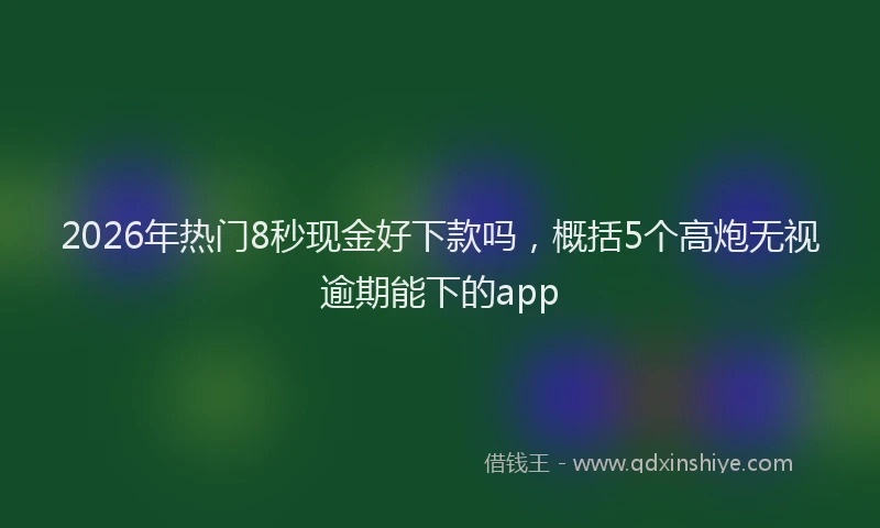 2026年热门8秒现金好下款吗，概括5个高炮无视逾期能下的app