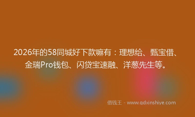 2026年的58同城好下款嘛有：理想给、甄宝借、金瑞Pro钱包、闪贷宝速融、洋葱先生等。