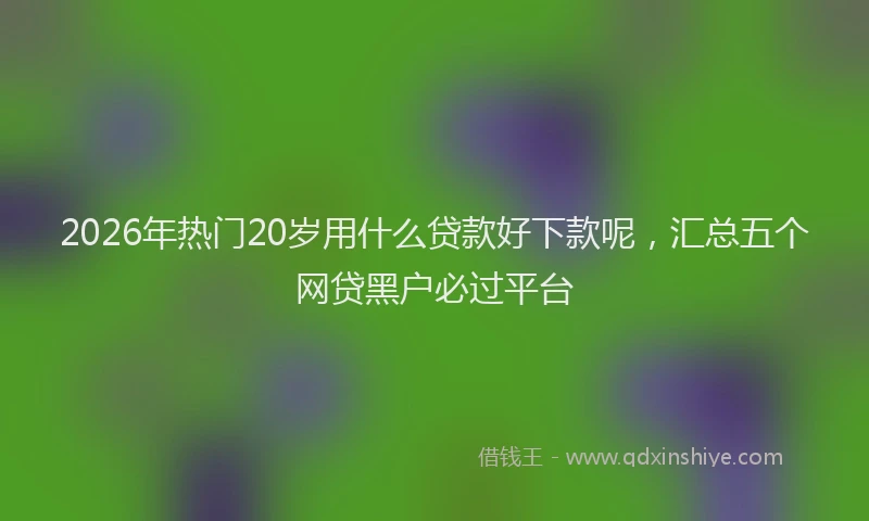 2026年热门20岁用什么贷款好下款呢，汇总五个网贷黑户必过平台