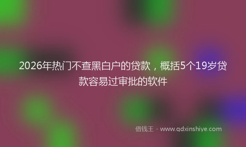 2026年热门不查黑白户的贷款，概括5个19岁贷款容易过审批的软件