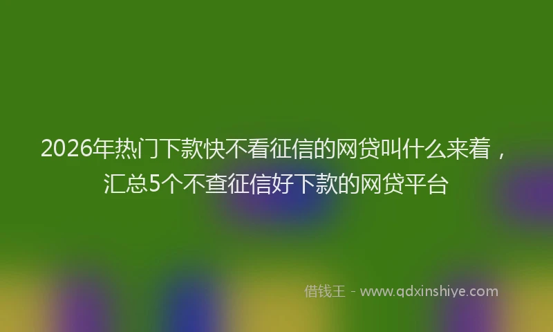 2026年热门下款快不看征信的网贷叫什么来着，汇总5个不查征信好下款的网贷平台